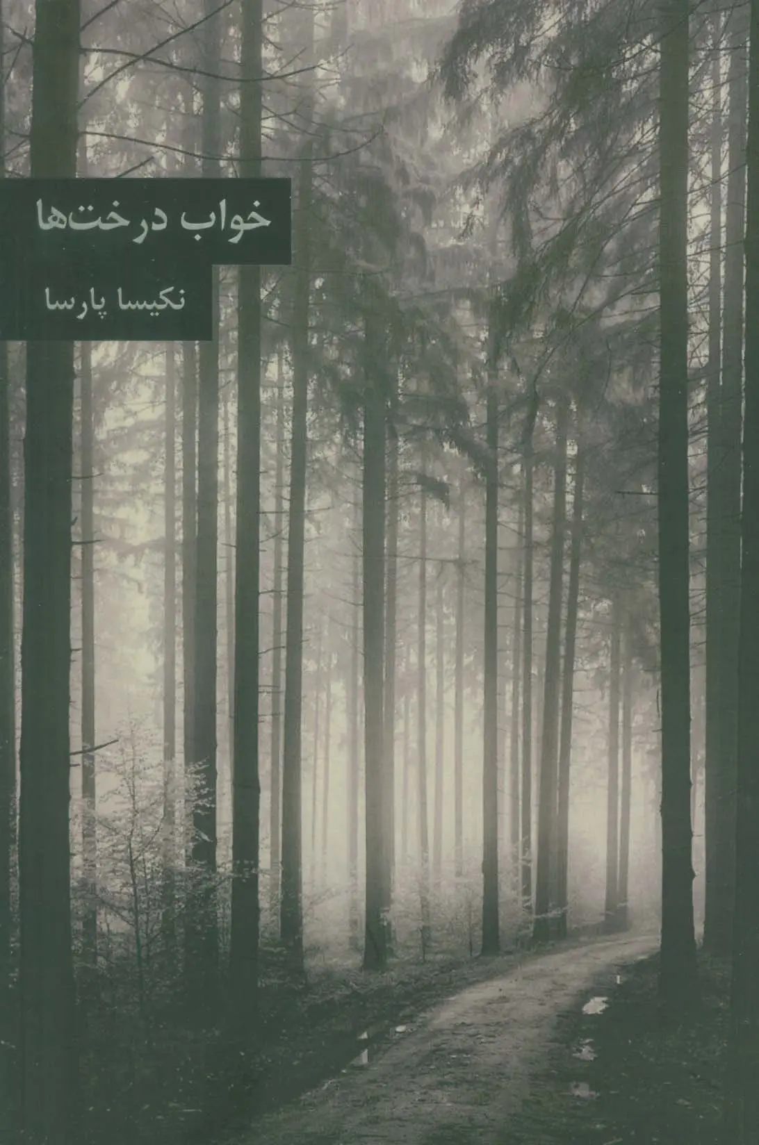 خواب درختها
